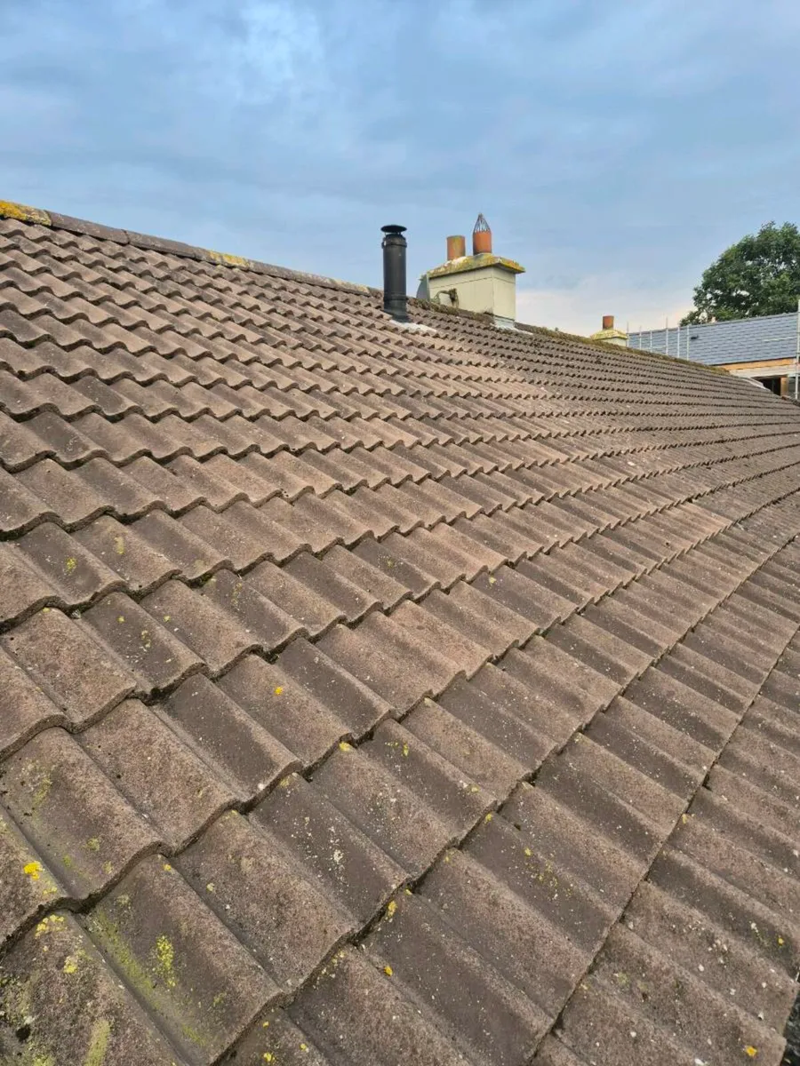 Roof Tiles - Image 3