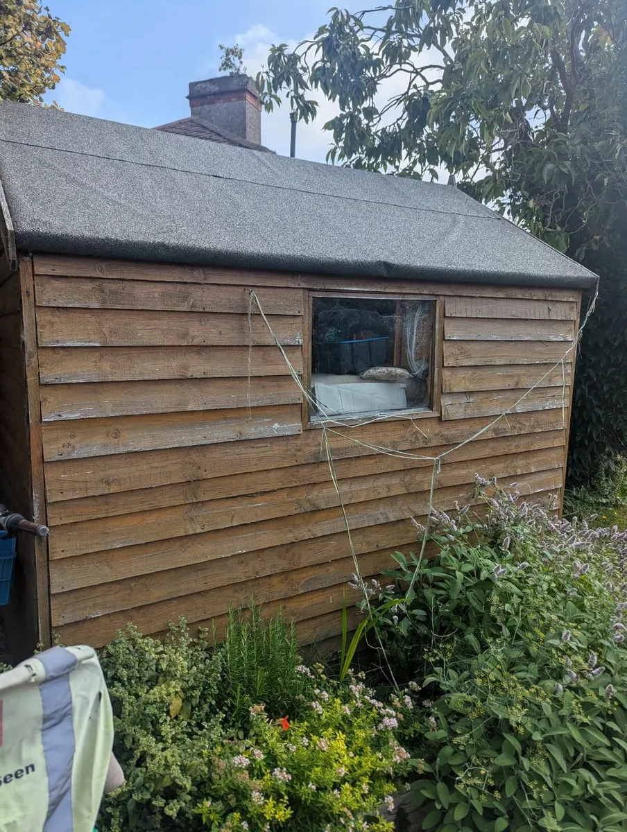 Shed - Image 3