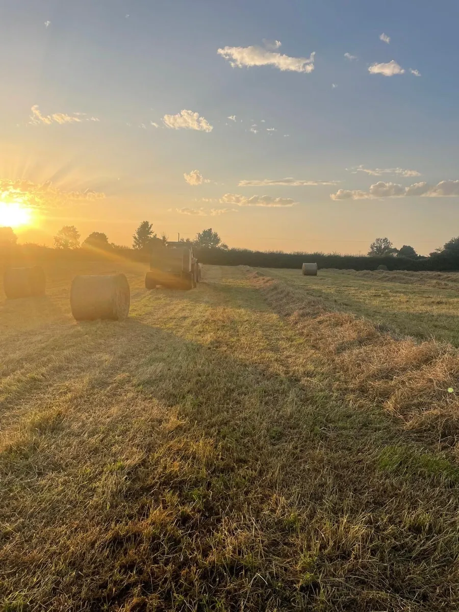 Top Quality June 25 Hay for Sale - Image 2