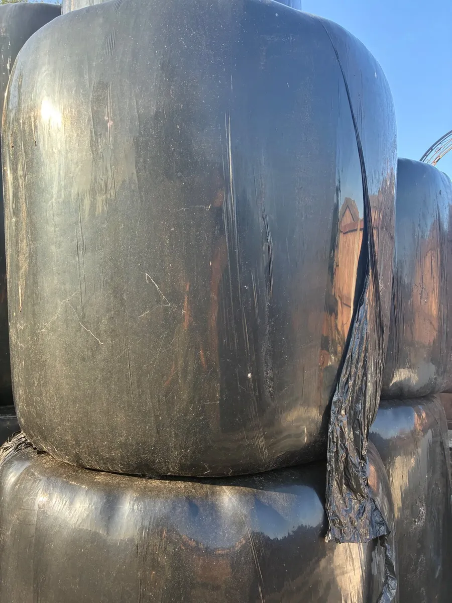 Haylage bales - Image 1