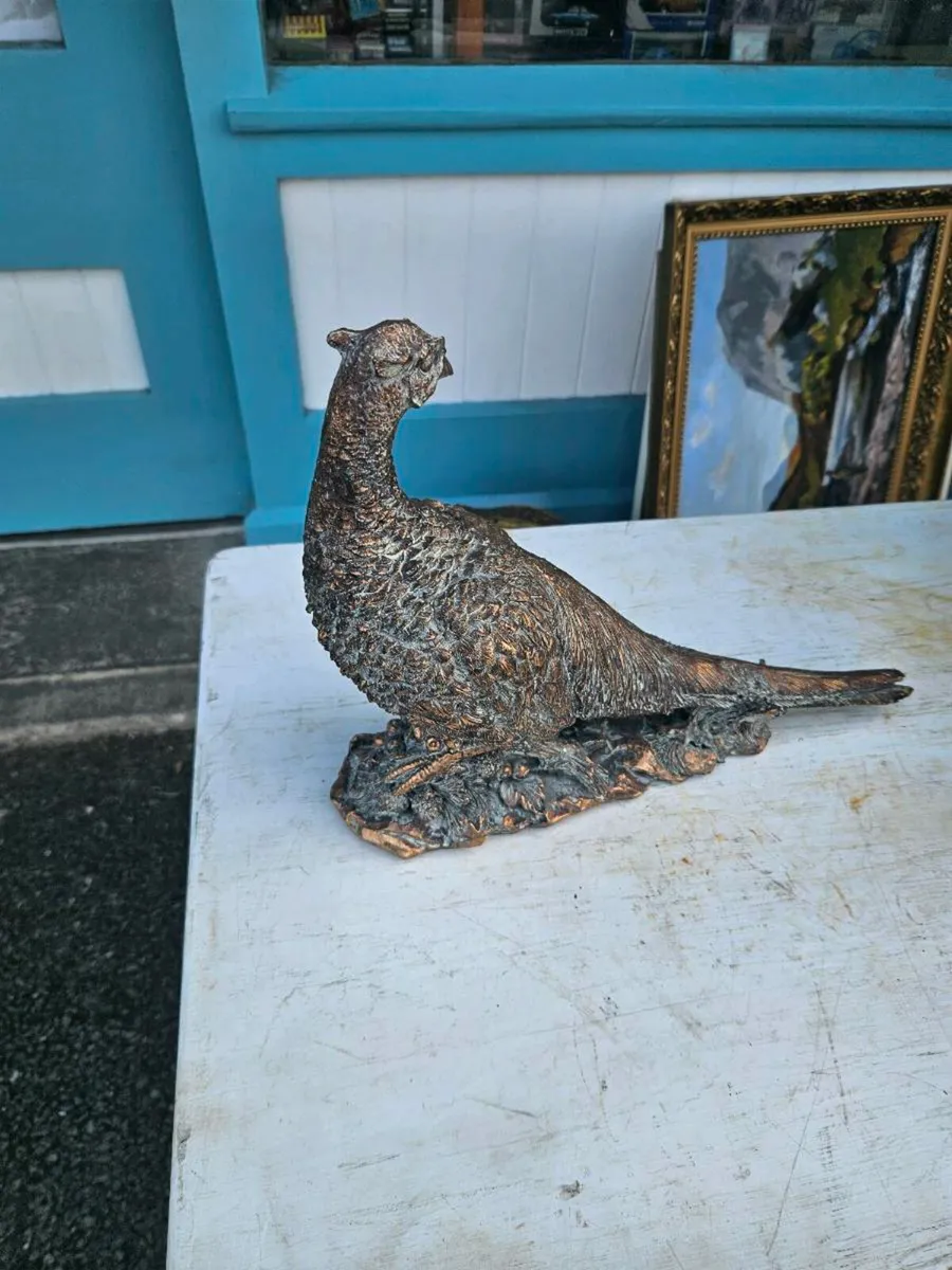 Copper Effect Pheasant - Image 2