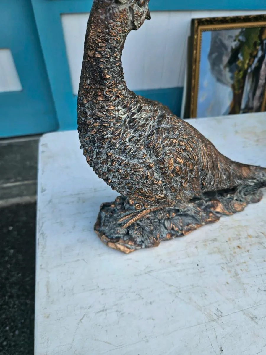 Copper Effect Pheasant - Image 3