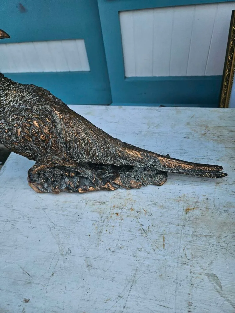 Copper Effect Pheasant - Image 4