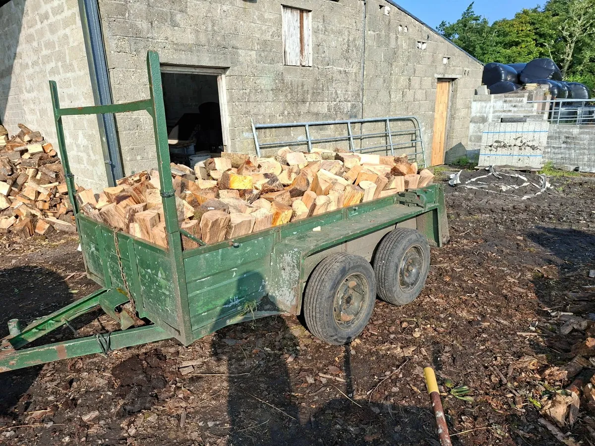 Firewood - Image 2