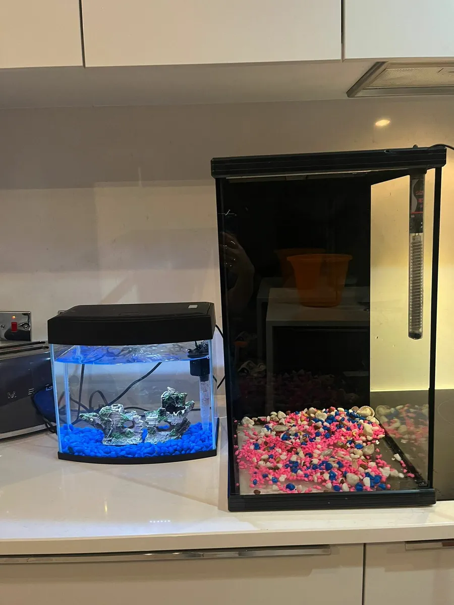 Fish tank - Image 1