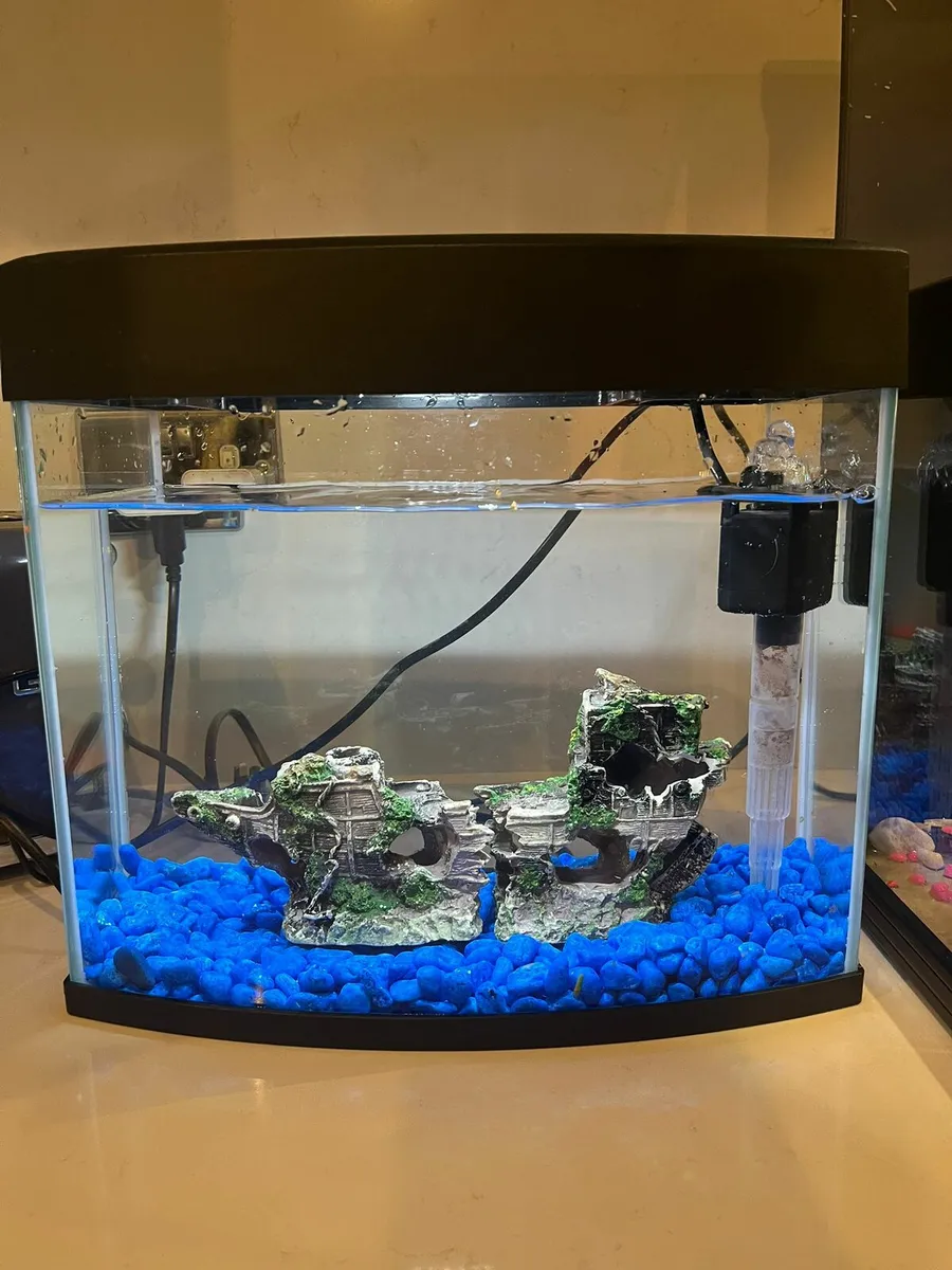 Fish tank - Image 2