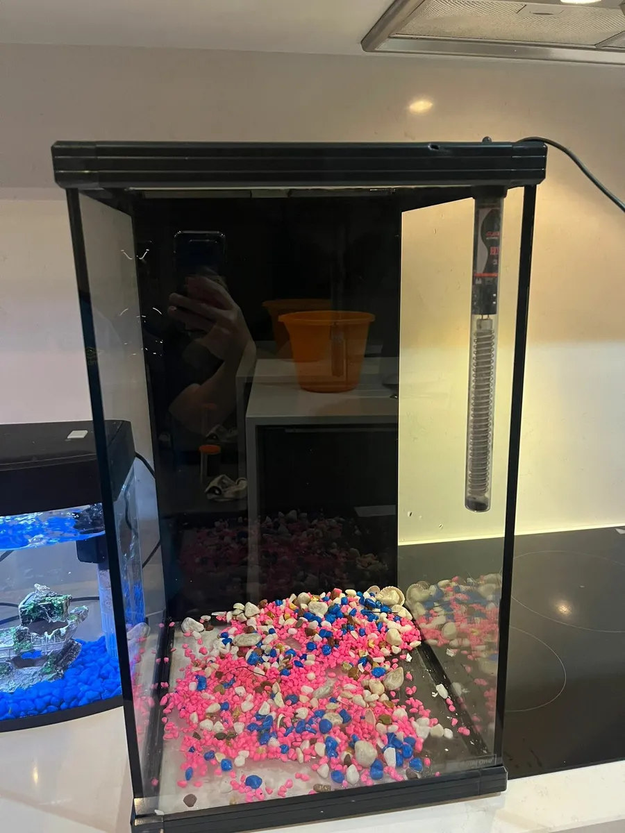 Fish tank - Image 3