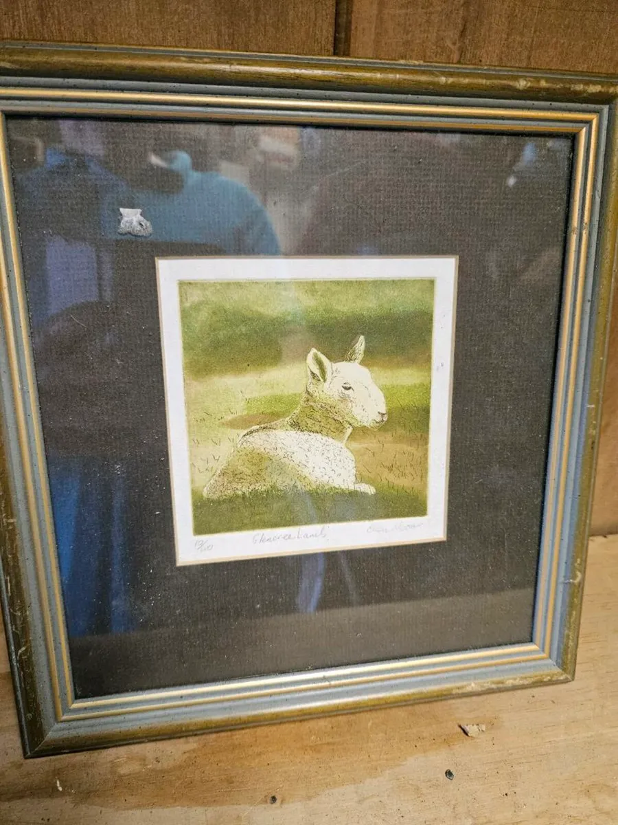Limited Edition Picture Print Glencree Lamb - Image 2