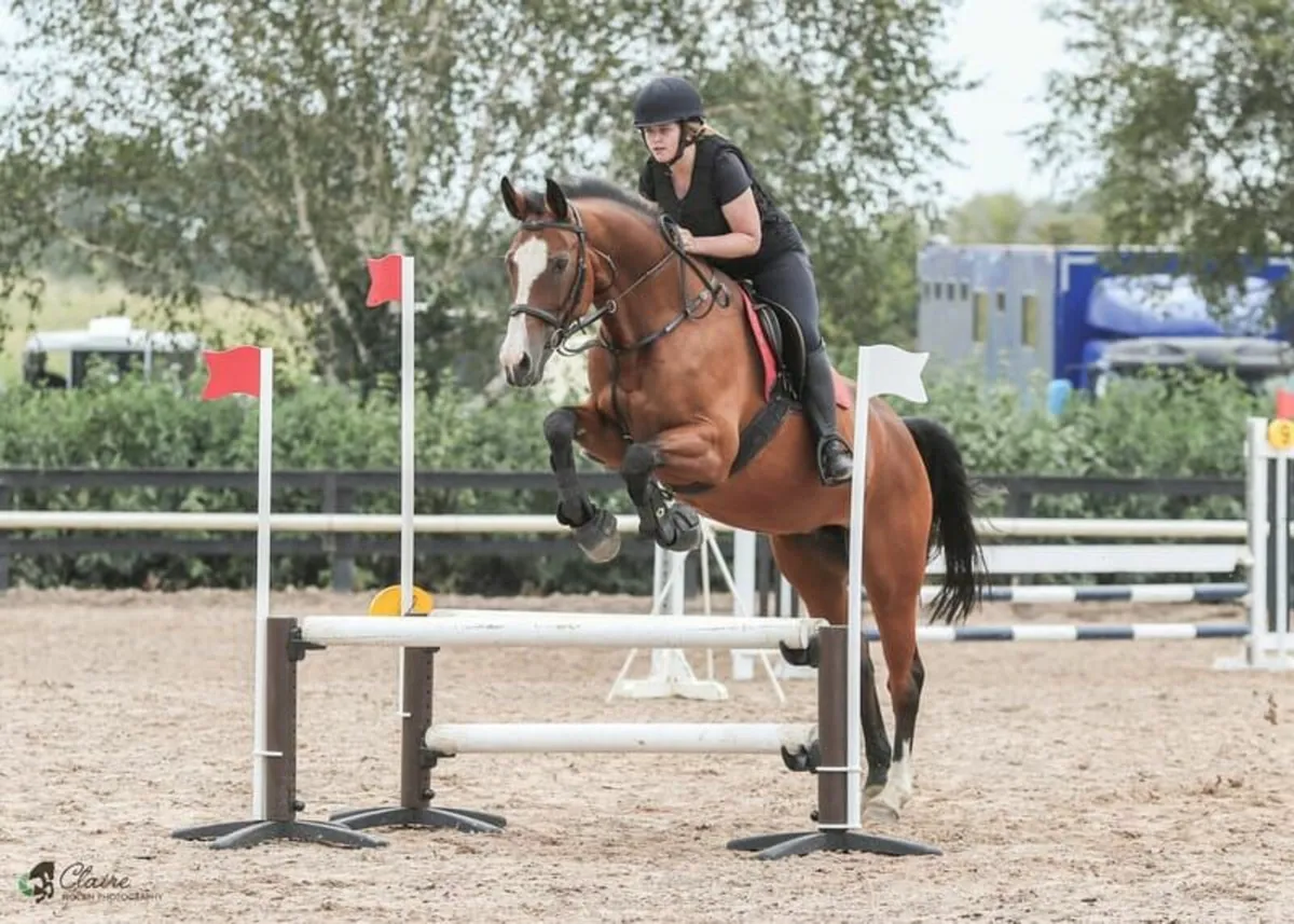 Very quiet mare - Image 2