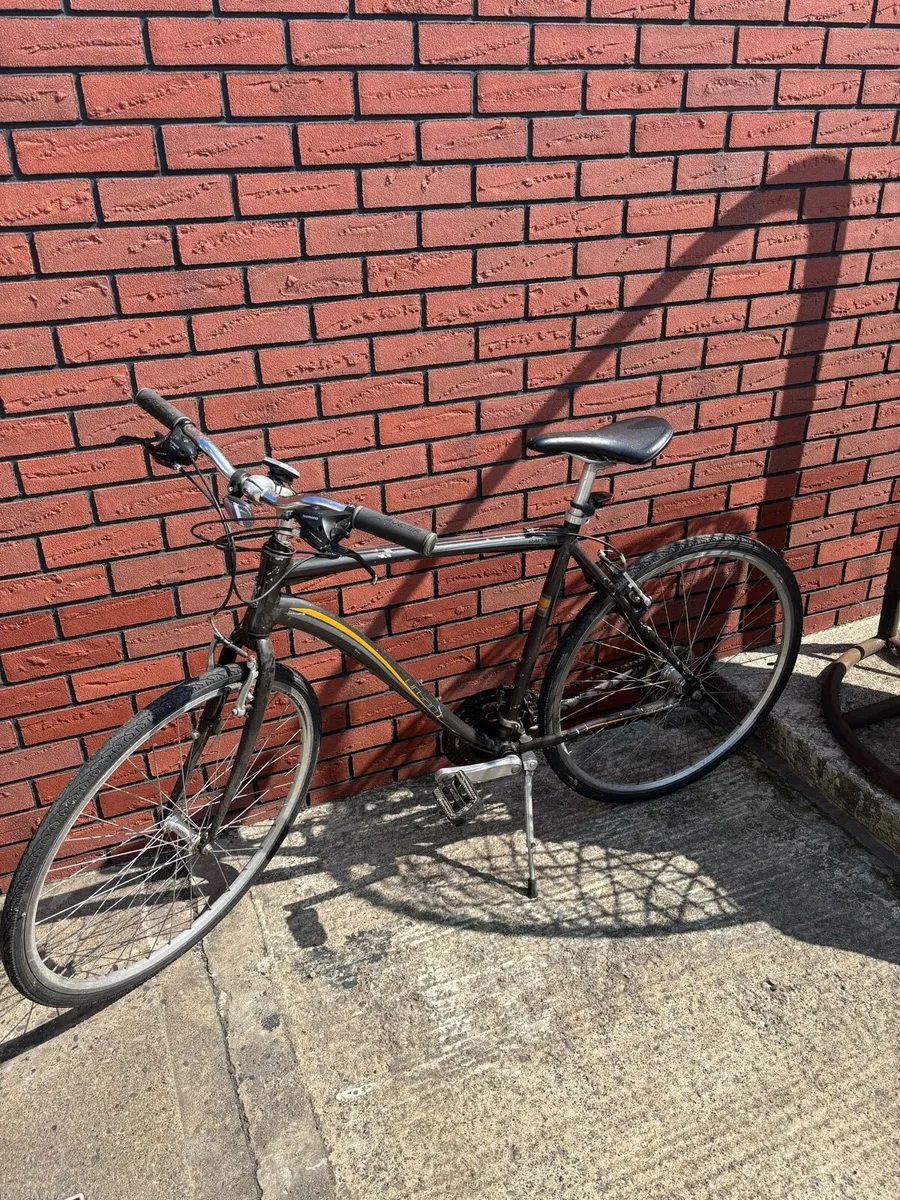Bicycle - Image 1