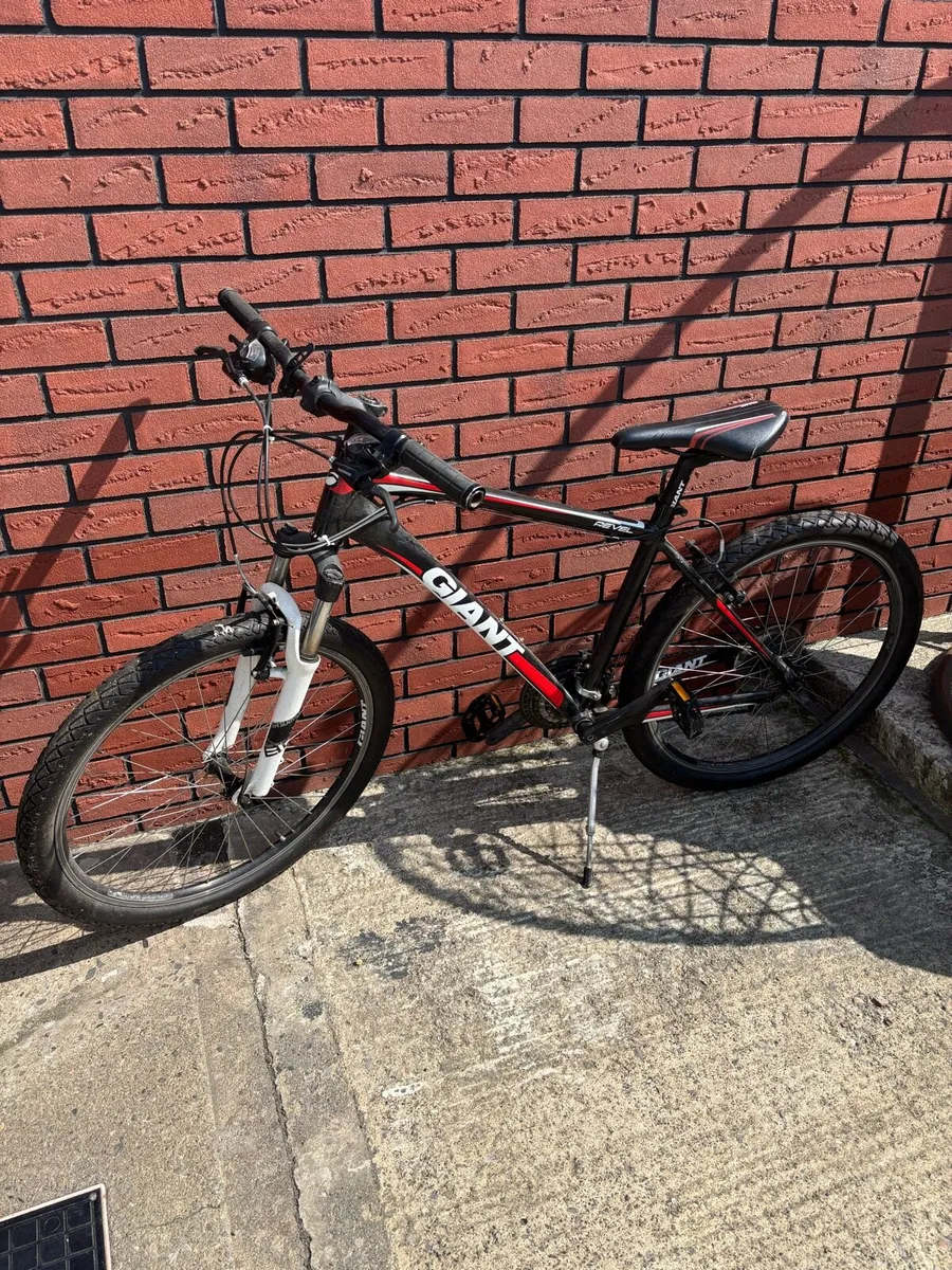 Bicycle - Image 1