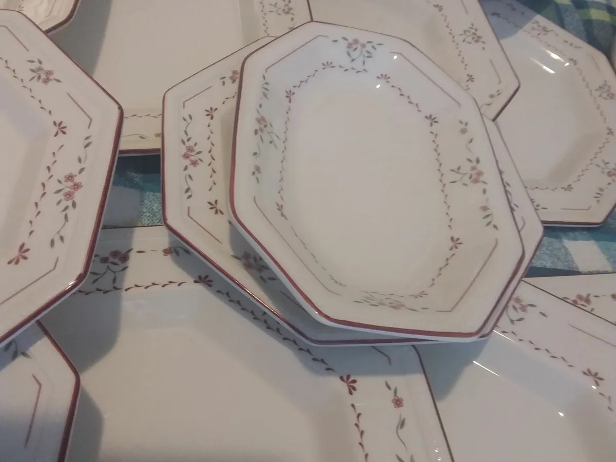 JOHNSON BROTHERS DINNER SERVICE - Image 1