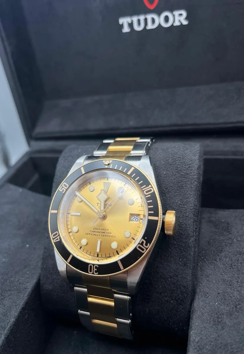 Tudor Black Bay S&G - Image 3