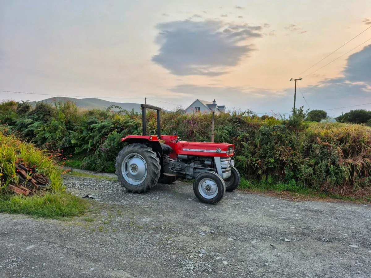 Massey ferguson 135 - Image 1