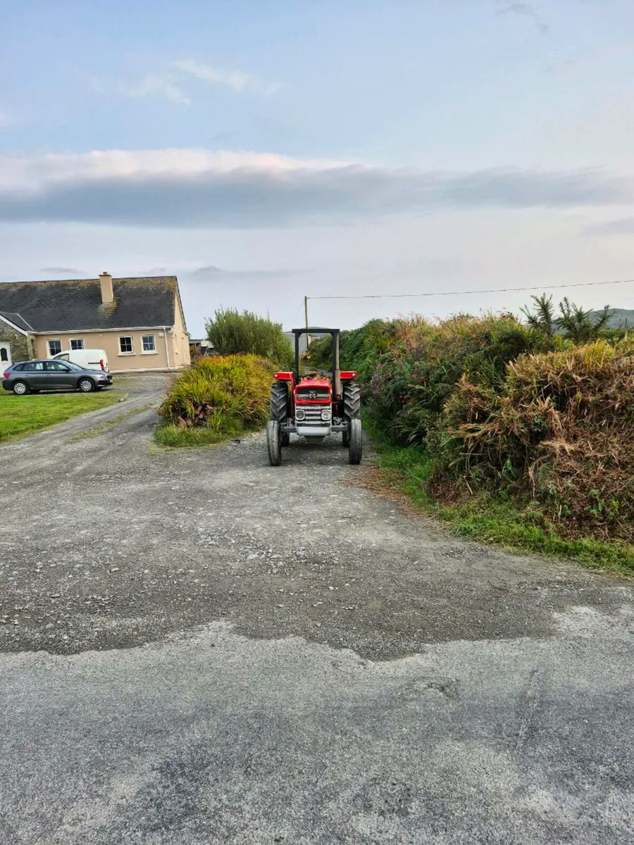 Massey ferguson 135 - Image 2