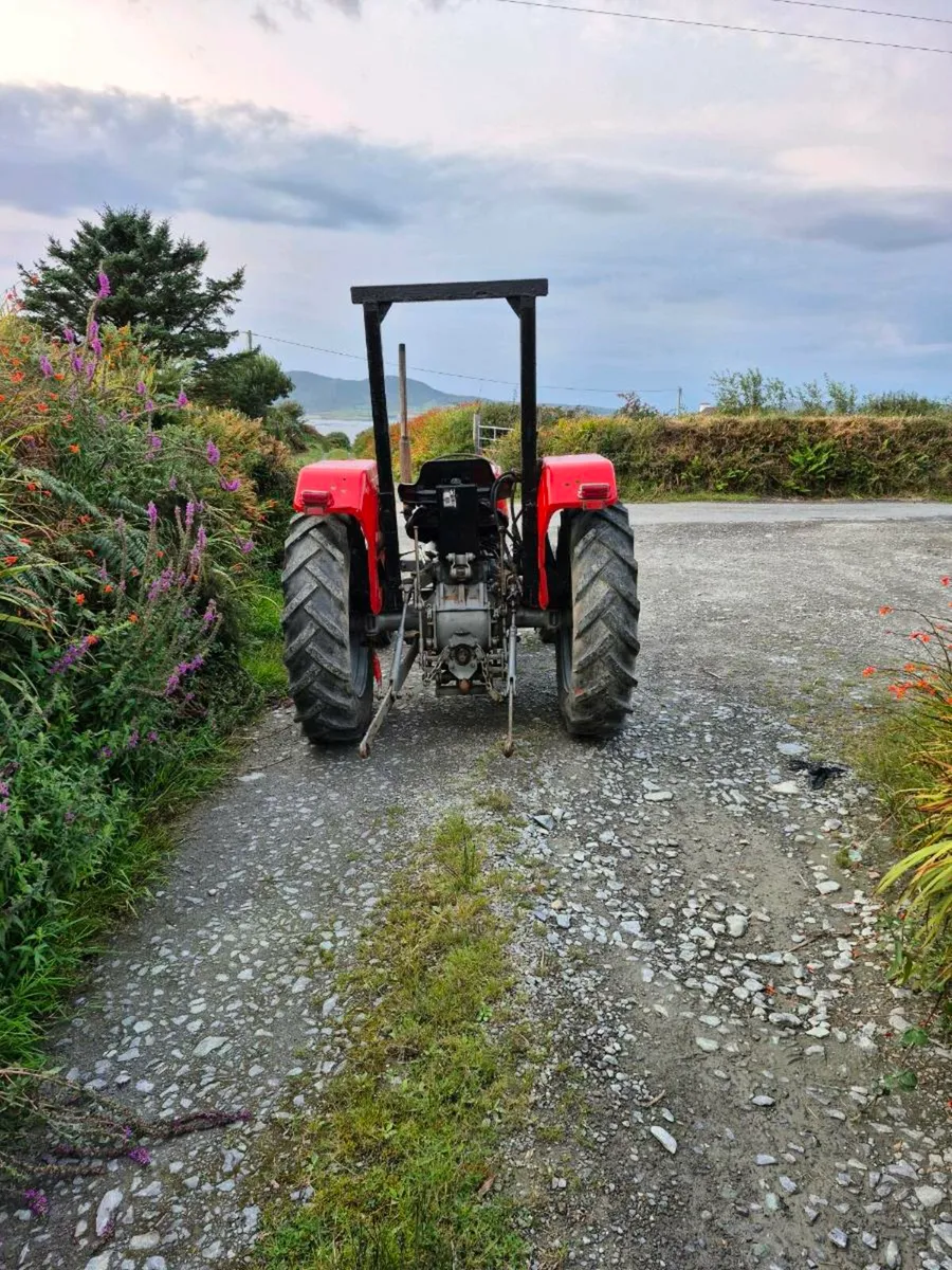 Massey ferguson 135 - Image 3