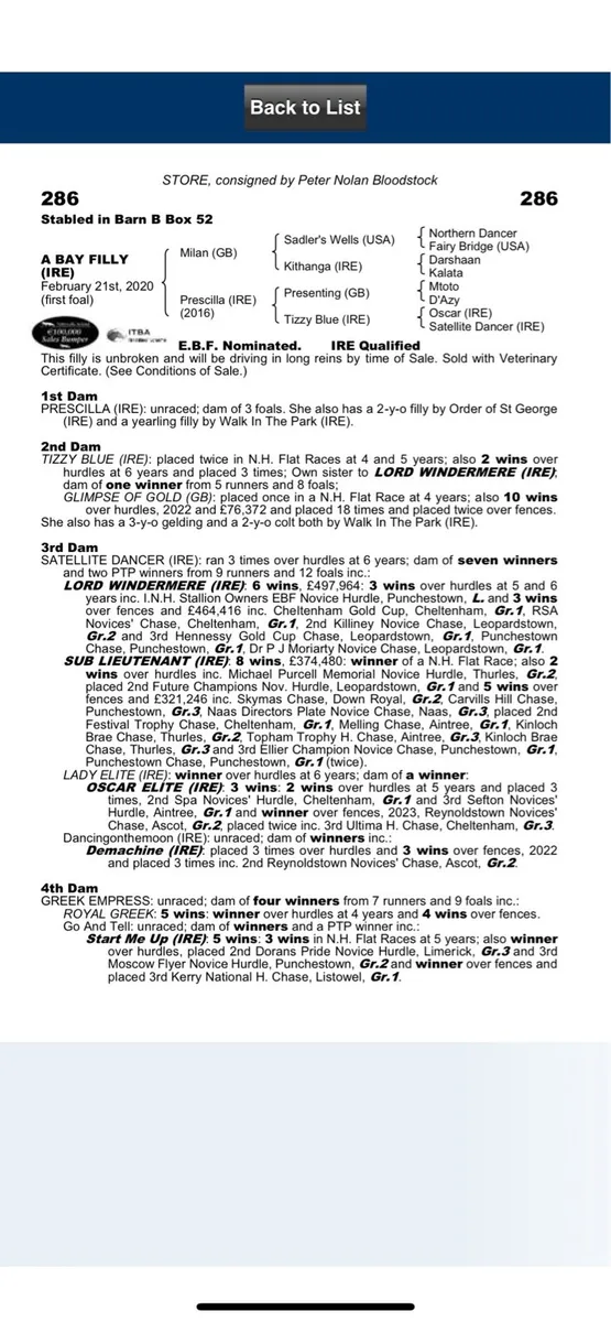Walk In The Park filly - Image 3