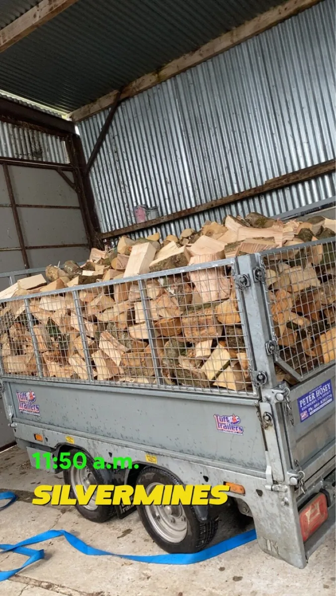 Firewood - Image 1