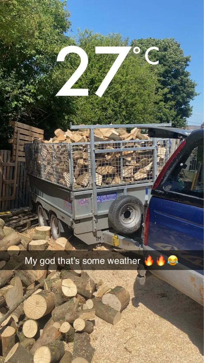 Firewood - Image 2