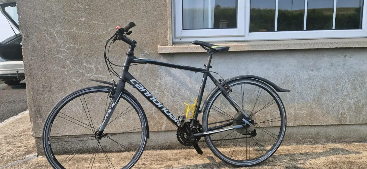 Hybrid Adult Bike - Image 1