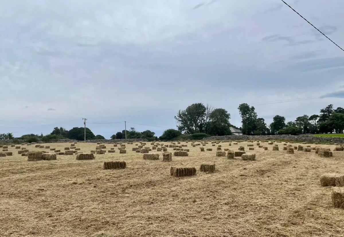 Square Hay Bales - Image 1