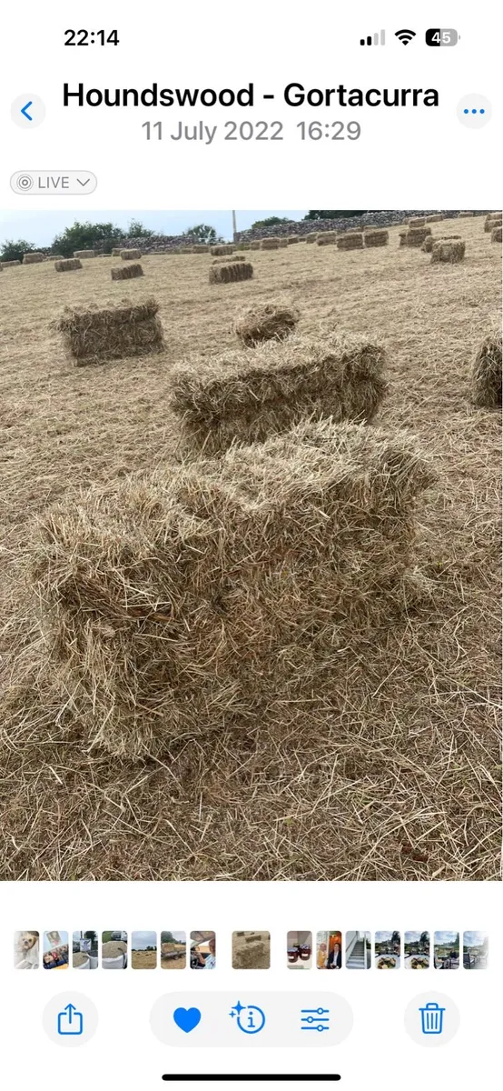 Square Hay Bales - Image 2