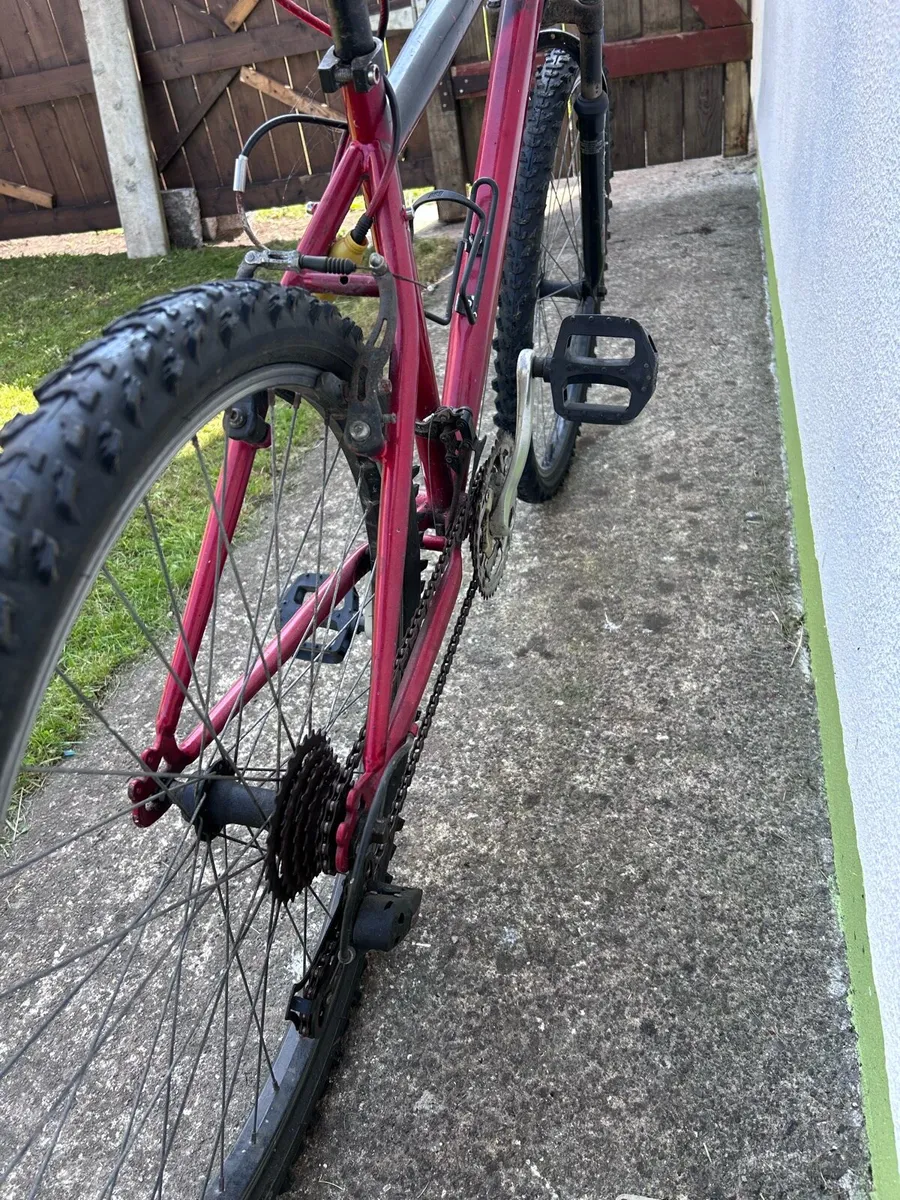 Bike - Image 2