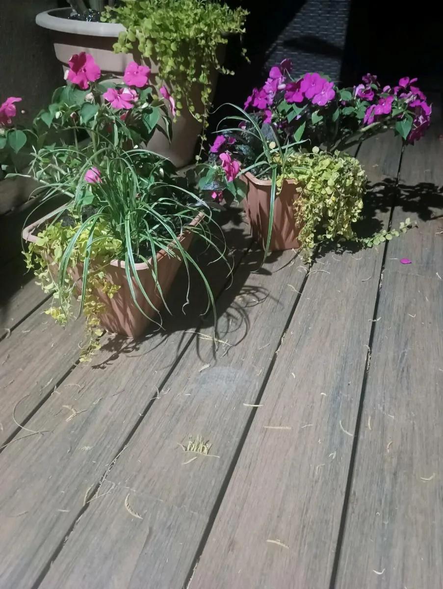 2 lovely pots, - Image 3