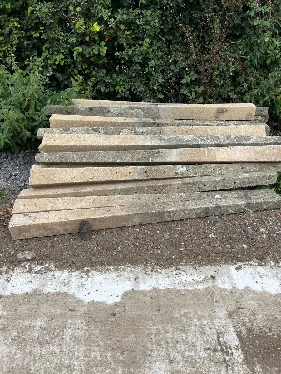 Cement stakes