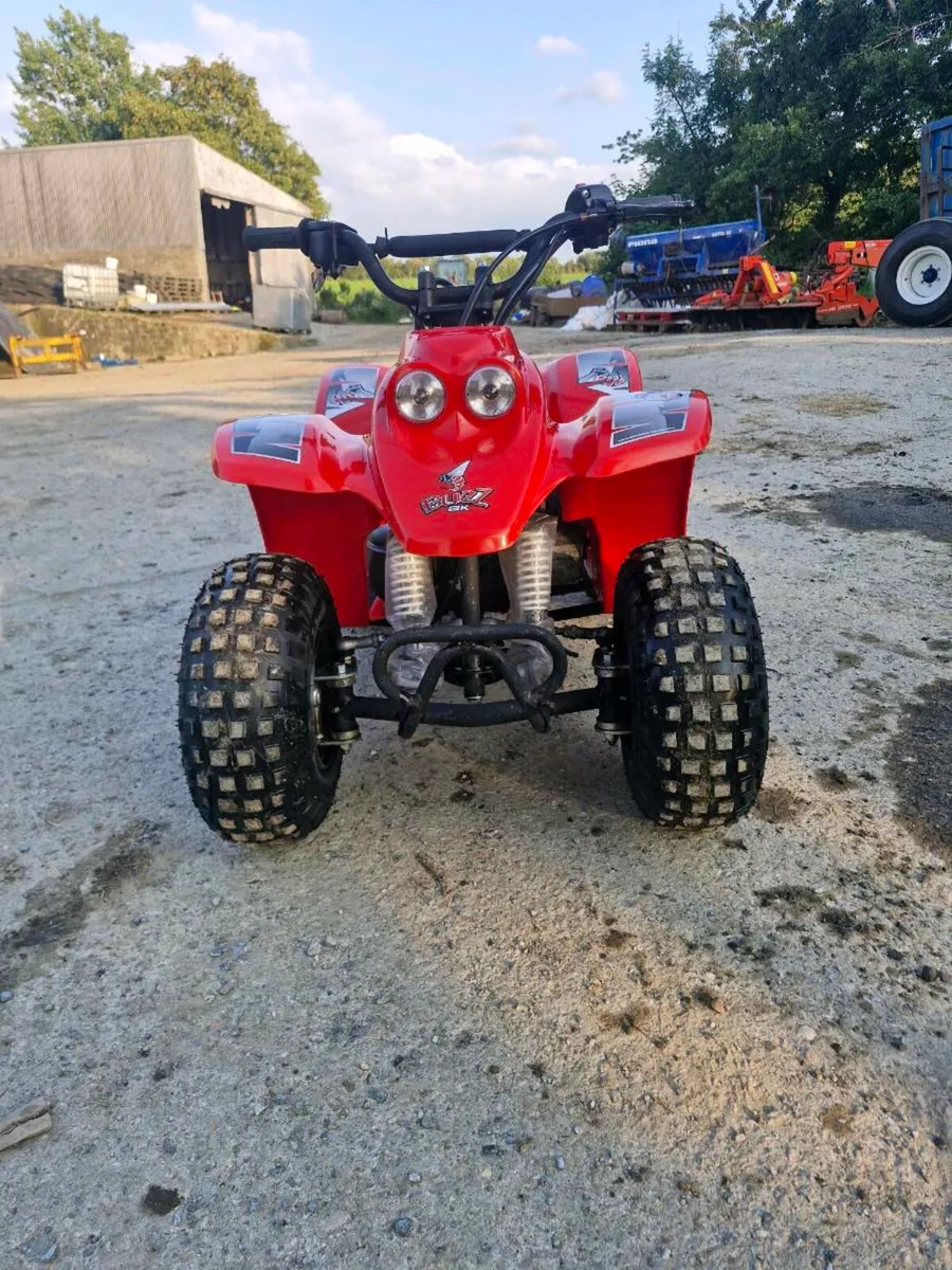 Quadzilla buzz - Image 1