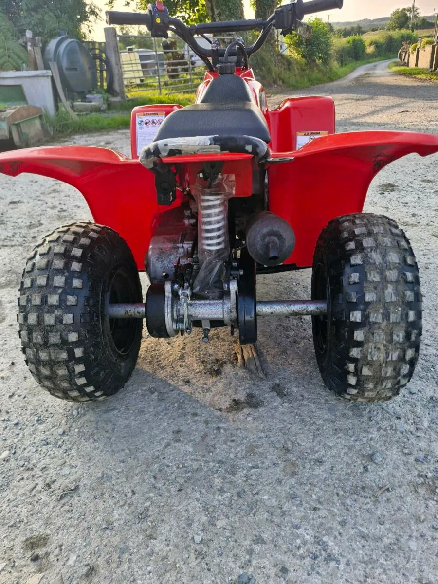 Quadzilla buzz - Image 3