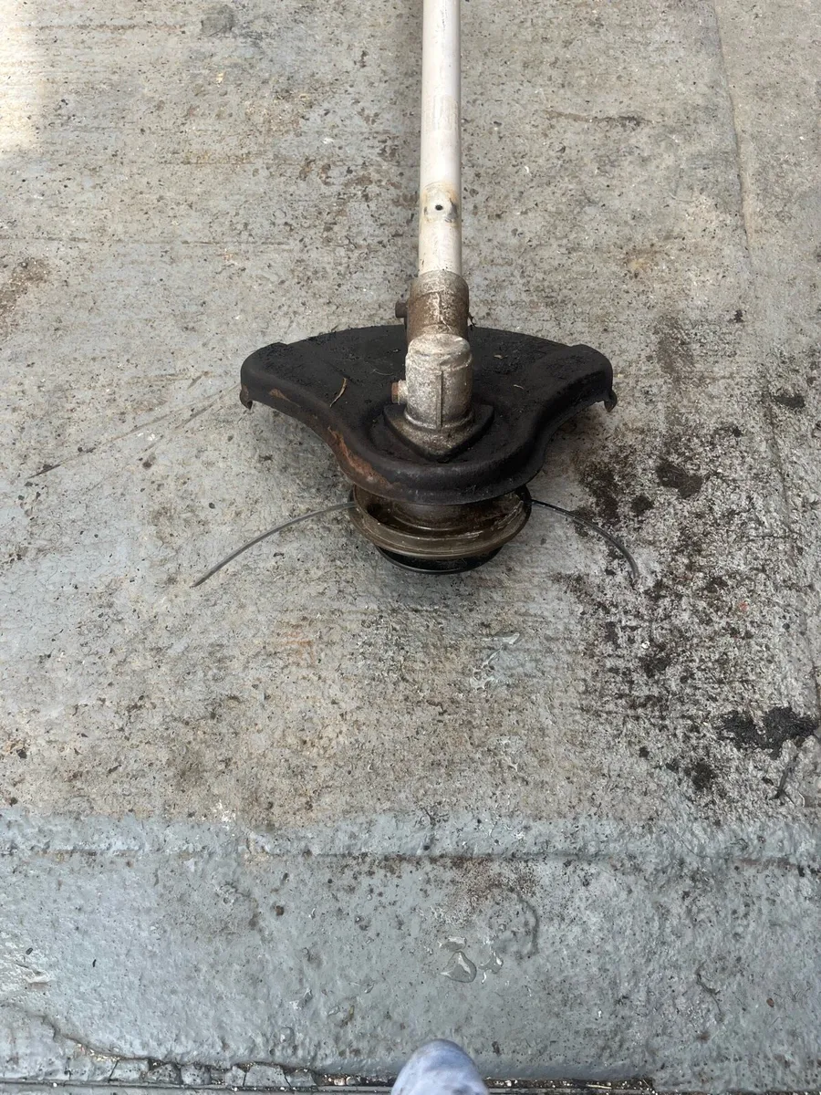 Strimmer - Image 2