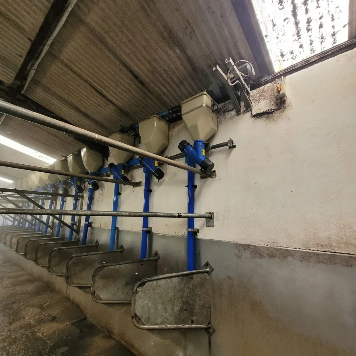 Delaval 12 x 12 - Image 4