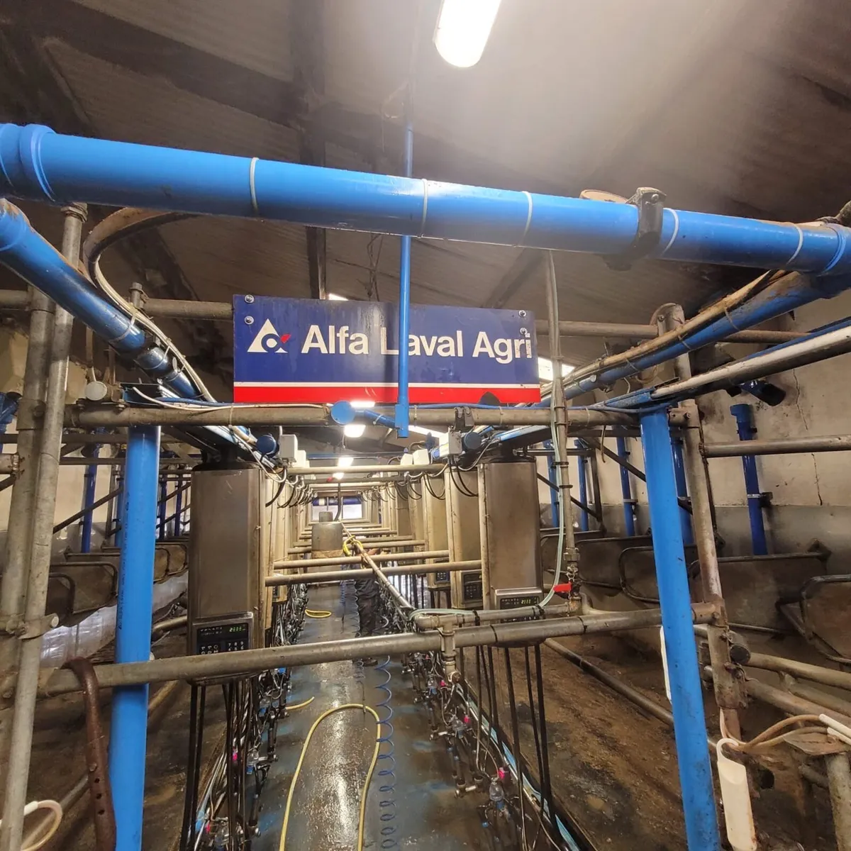 Delaval 12 x 12 - Image 1