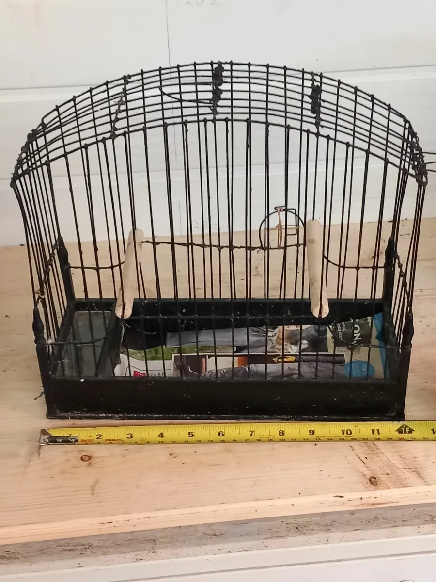 Avery Bird Equipment - Image 4
