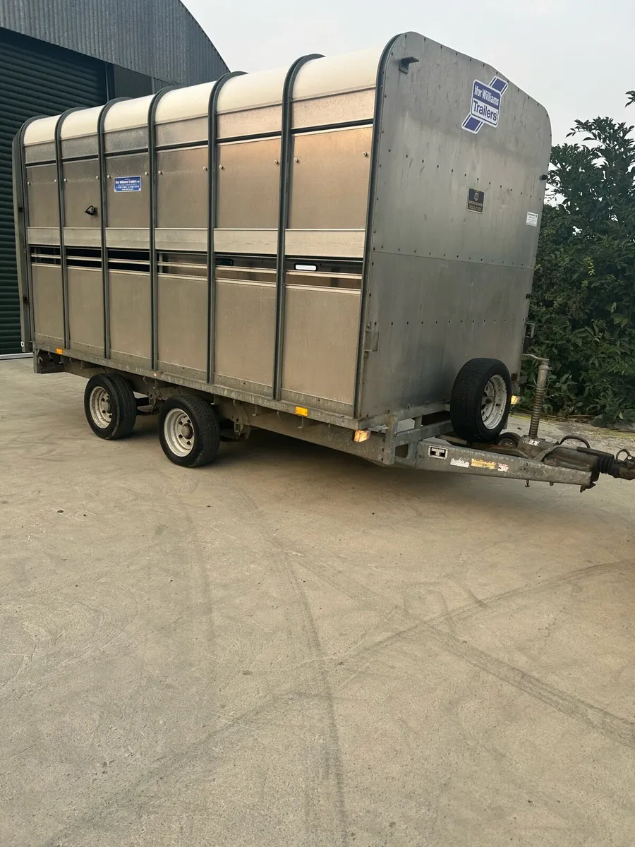 Iforwilliams DP120 Cattle trailer - Image 1