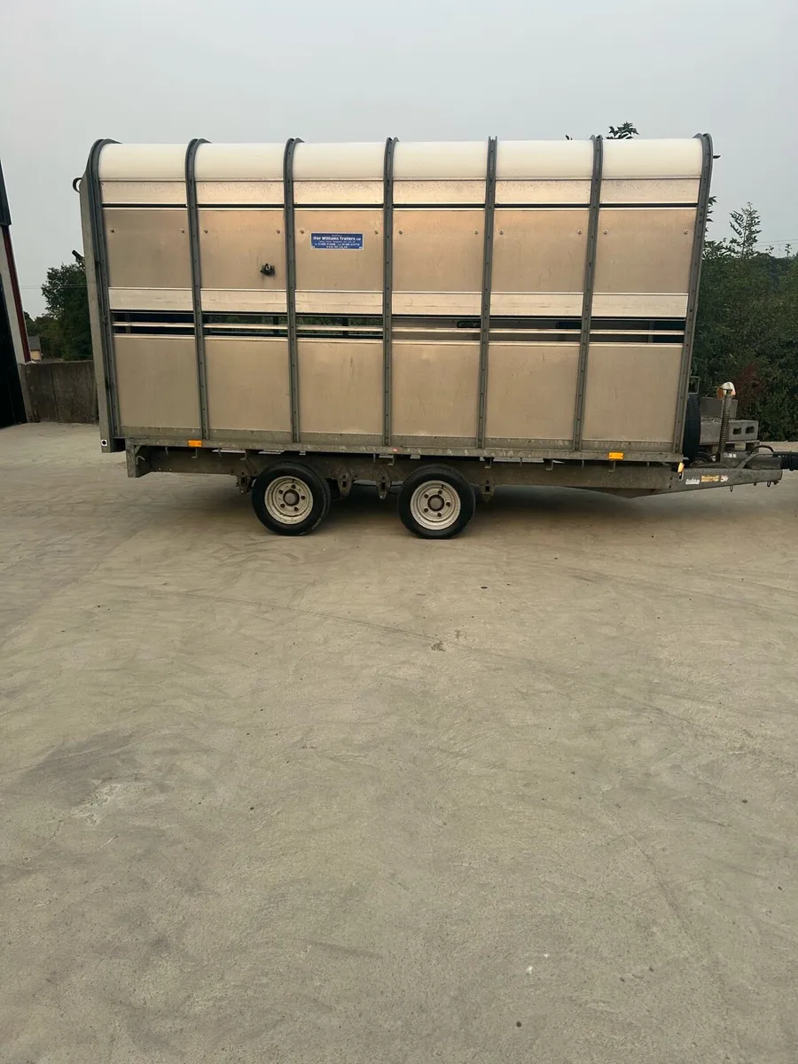 Iforwilliams DP120 Cattle trailer - Image 2