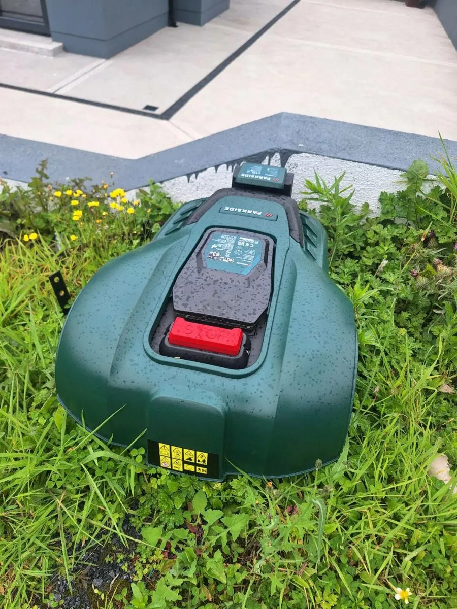 Robot lawnmower - Image 1