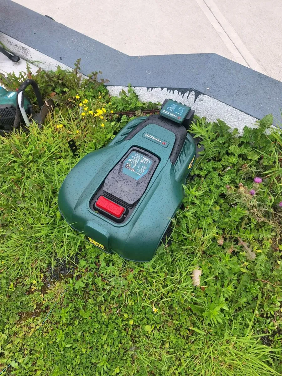 Robot lawnmower - Image 2