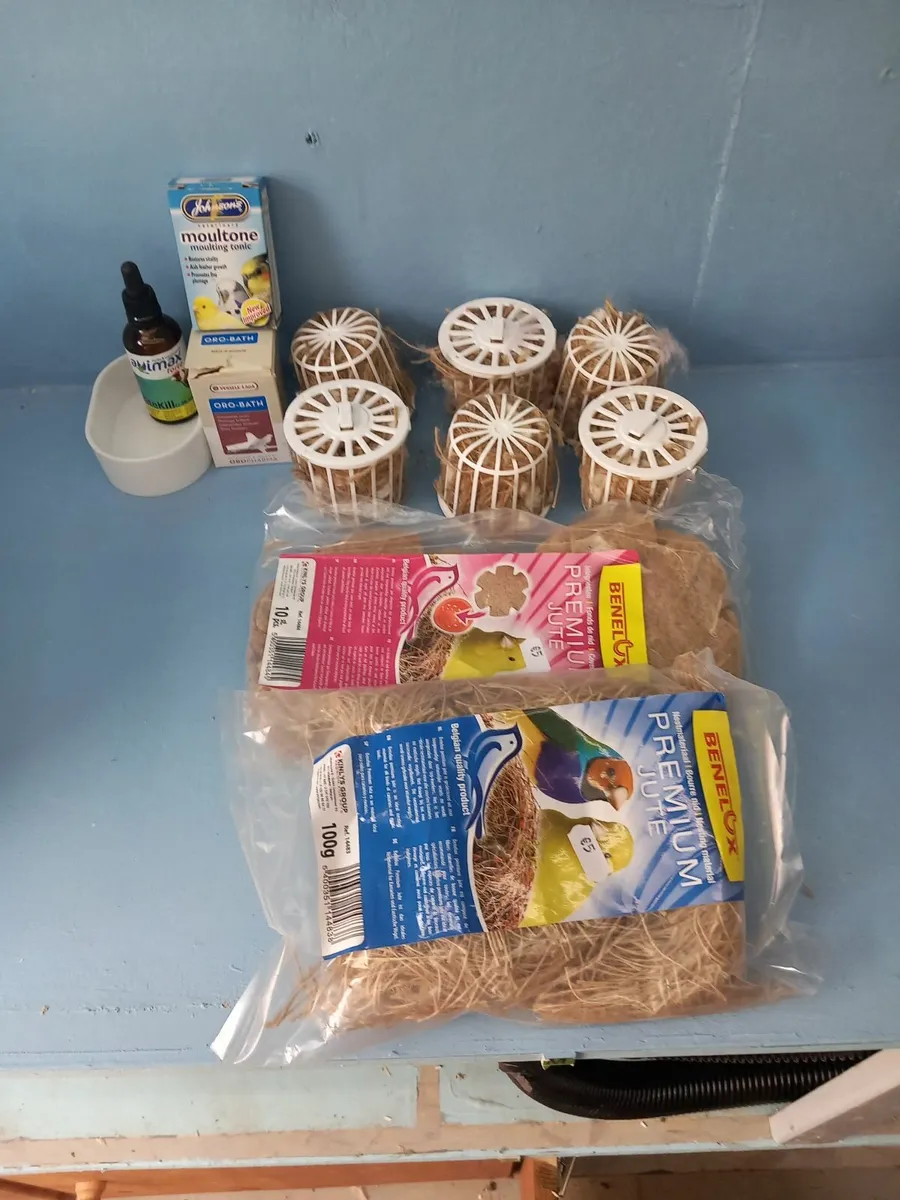 Avery Bird Equipment - Image 1