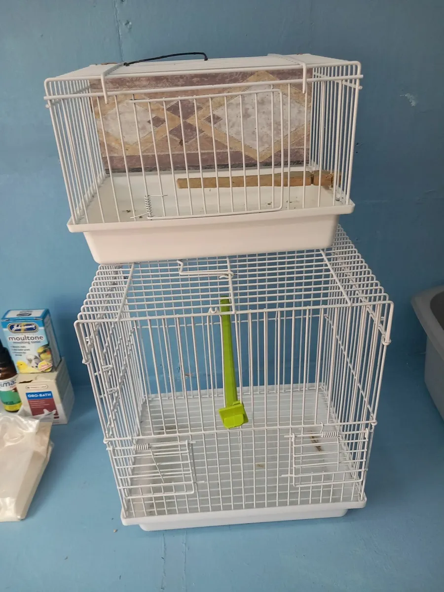 Avery Bird Equipment - Image 4