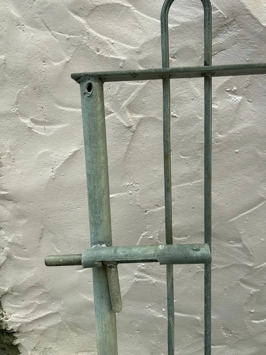 Metal gate - Image 2
