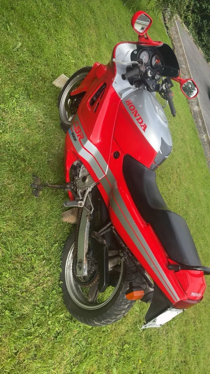 🔴Honda CBR 600 Supersport FHI - Image 2