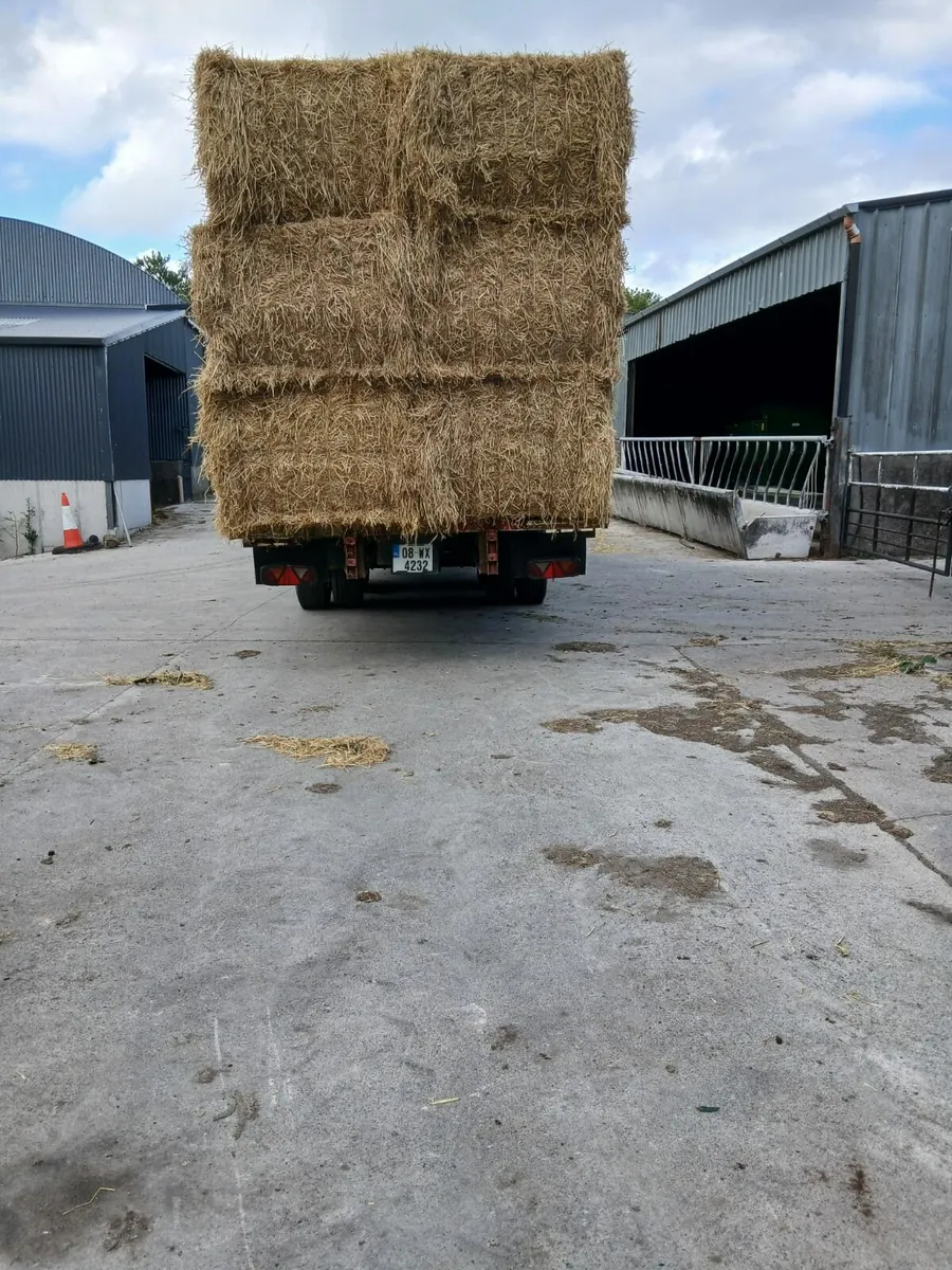 30ft Bale Trailer - Image 2