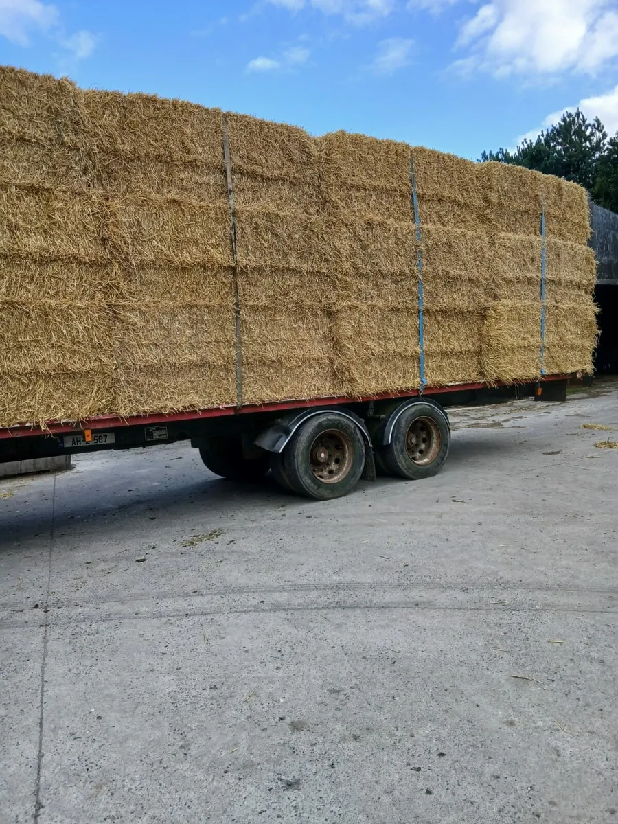 30ft Bale Trailer - Image 1