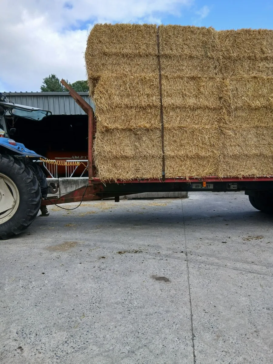 30ft Bale Trailer - Image 3