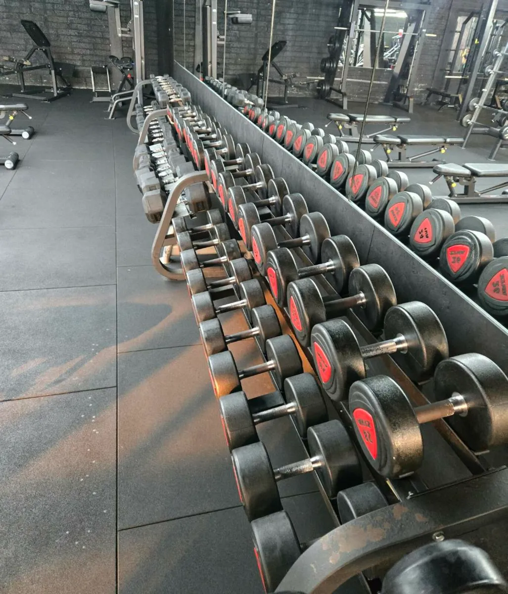 Dumbells - Image 1