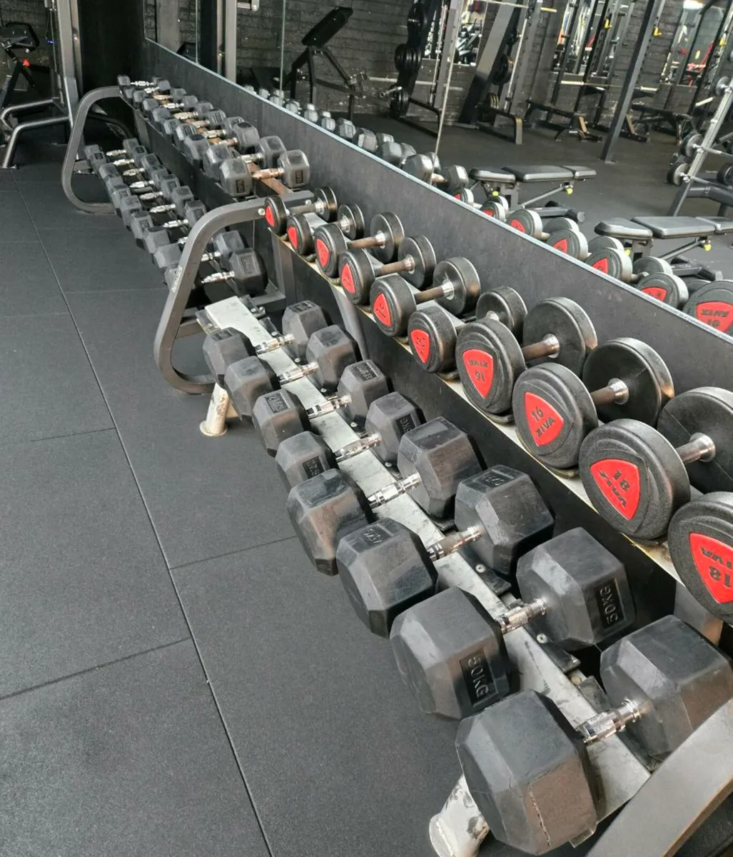 Dumbells - Image 2