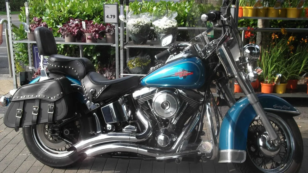 HARLEY DAVIDSONHERITAGE&03 DYNA  TRADE UP - Image 1