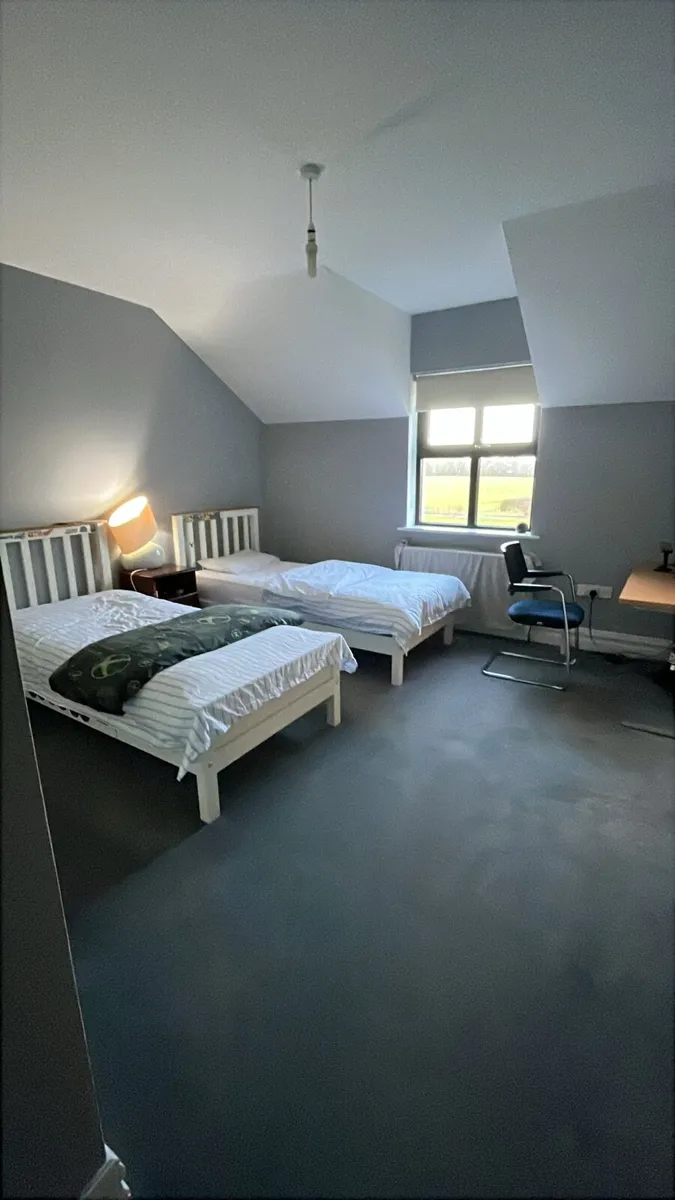 Two single beds and mattresses - Image 3